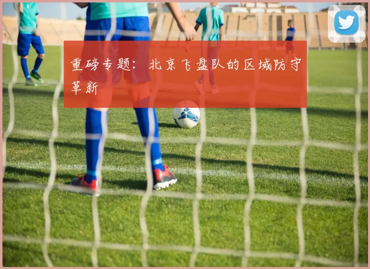 重磅专题：北京飞盘队的区域防守革新