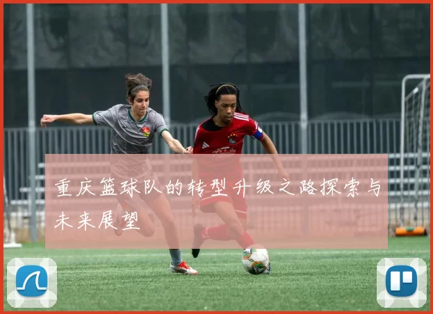 重庆篮球队的转型升级之路探索与未来展望
