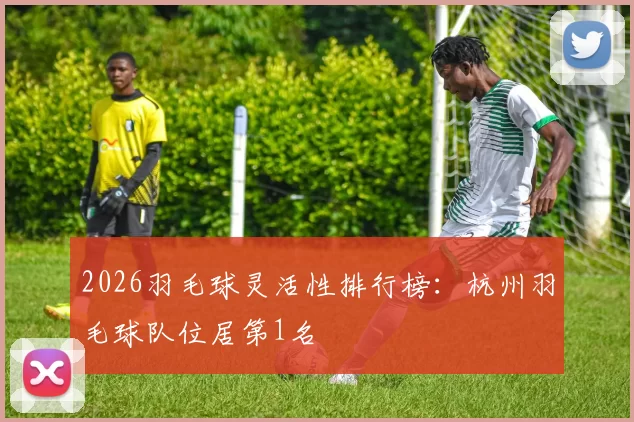 2026羽毛球灵活性排行榜：杭州羽毛球队位居第1名