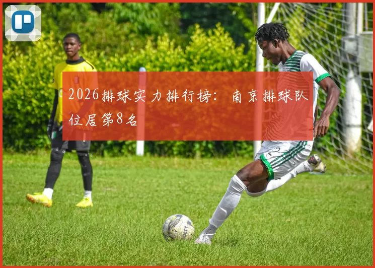 2026排球实力排行榜：南京排球队位居第8名