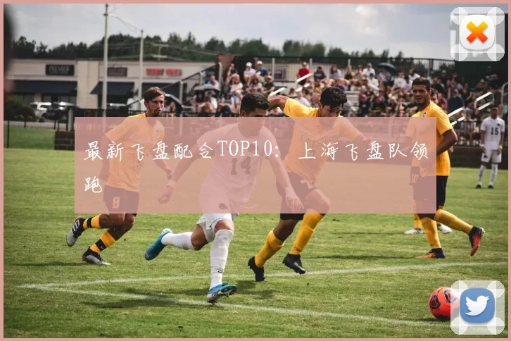 最新飞盘配合TOP10：上海飞盘队领跑