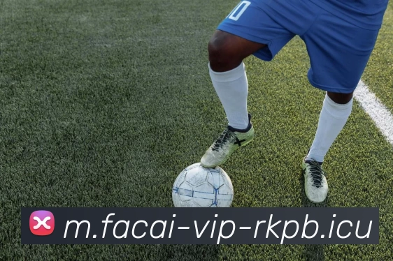 MK体育发展历程